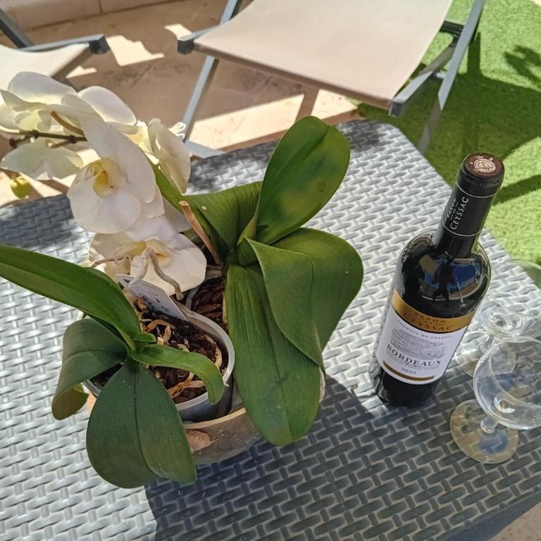 Villa Angelus - Junior Suite mit Gartenblick - 9