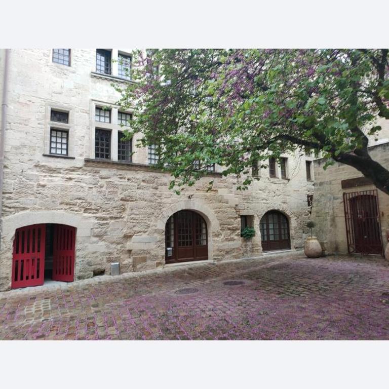 Chez le peintre - Appartement 1 Chambre - 2