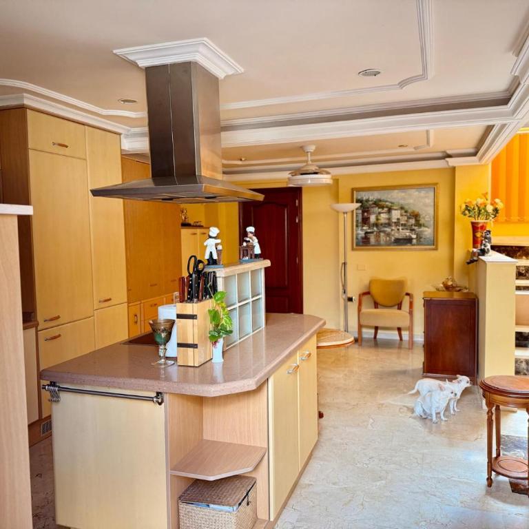 Villa Costa Adeje 4-bedrooms - Villa - 29