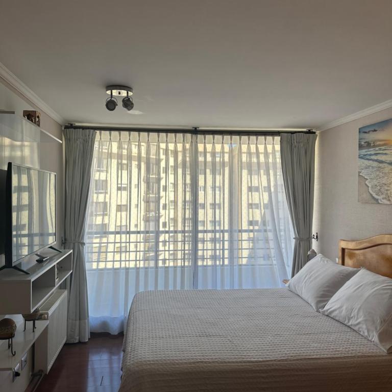 Lindo departamento en Viña del Mar, piso 8 - Two-Bedroom Apartment - 20