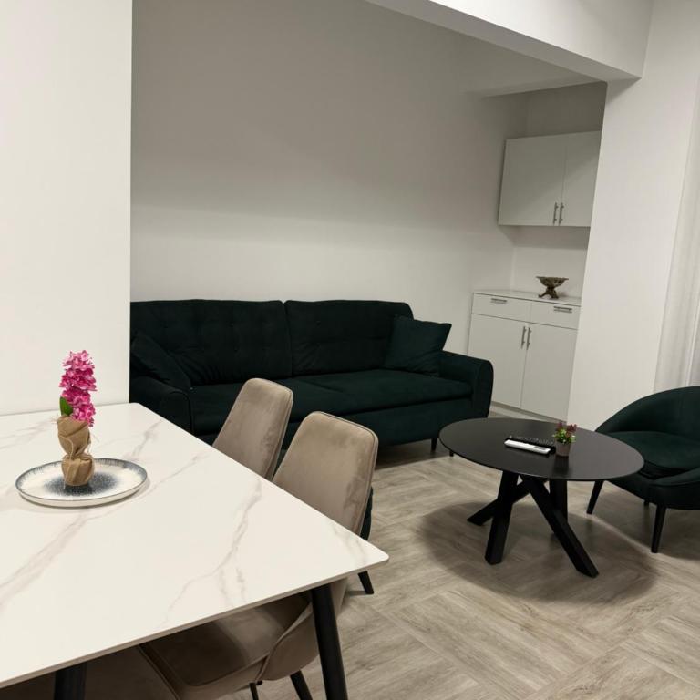 Apartman Vlahović - Apartman sa 1 Spavaćom Sobom - 13