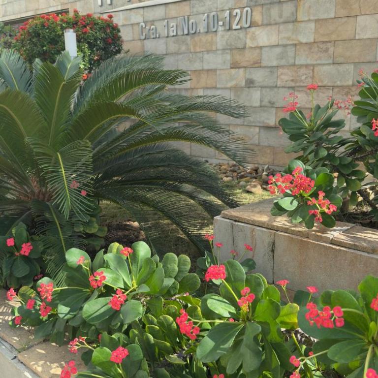 Remodeled and luxurious oceanfront apartment - Apartamento con vistas al mar - 67