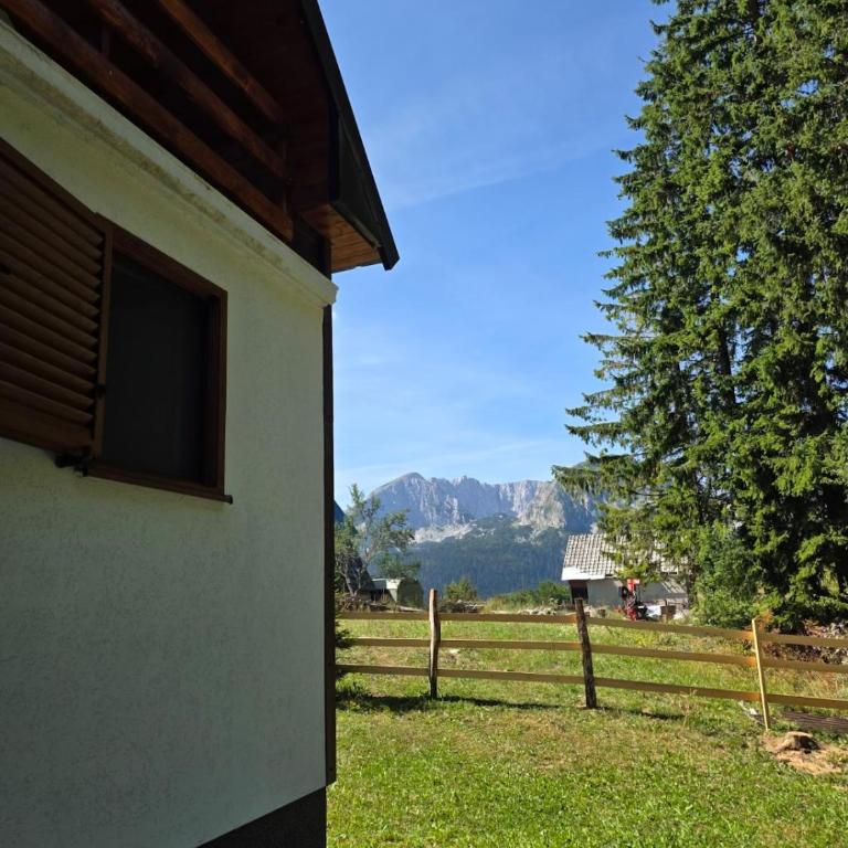 Durmitor Forest Cabin - Kuća sa 2 Spavaće Sobe - 10
