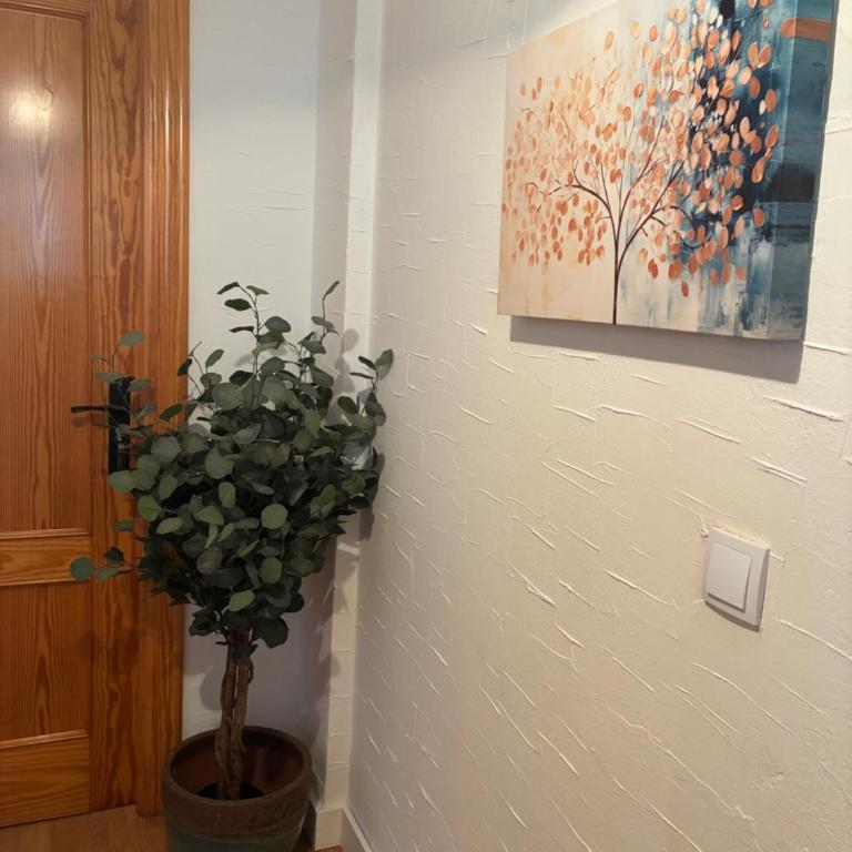 Lumina House boutique Alicante - Premium Apartment mit 3 Schlafzimmern - 5