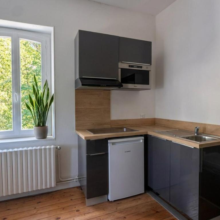 Louis 26 - Le manoir - Appartement 1 Chambre avec Vue sur le Parc - 4