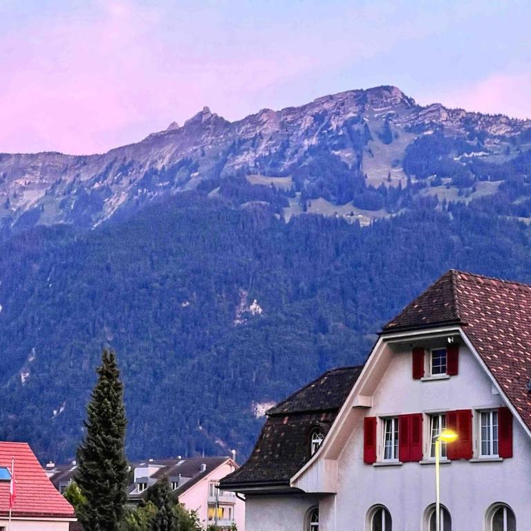 Edis Apartment 2 In the heart of Interlaken - Two-Bedroom Apartment - 23