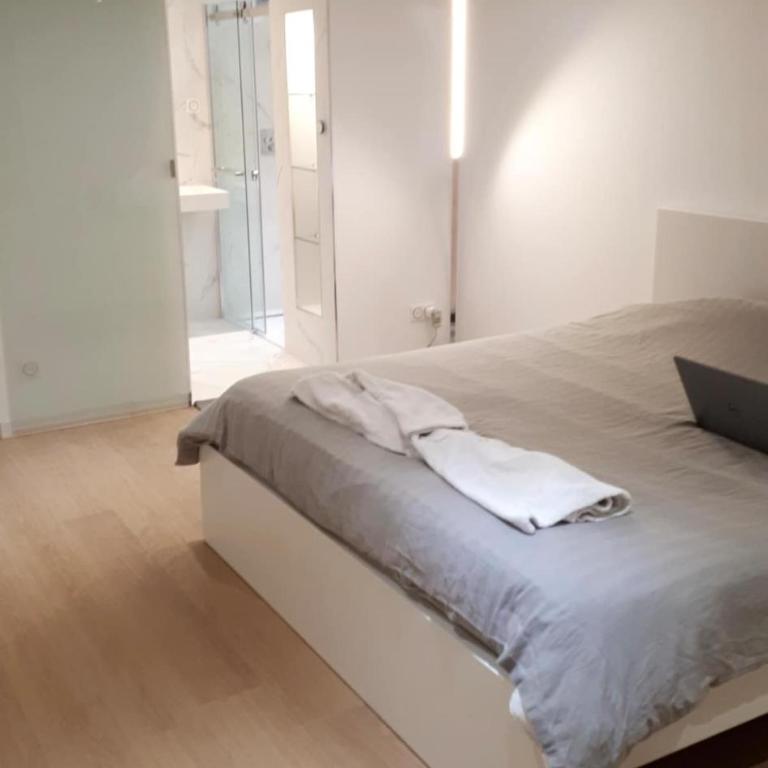 appartement standing lille centre - Chambre Double Deluxe avec Douche - 17