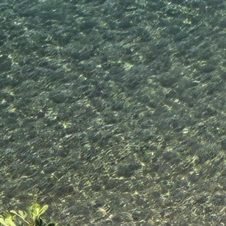 Pareti di Mare 40 mt dalla spiaggia - Casa con 1 Camera da Letto - 21