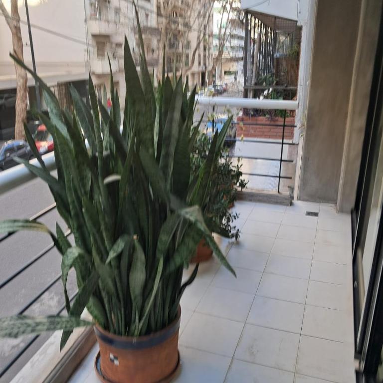Departamento en Recoleta excelente - One-Bedroom Apartment - 41
