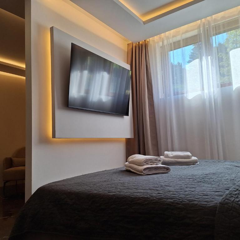 Spa Nest Zlatibor - Apartment mit 1 Schlafzimmer - 5