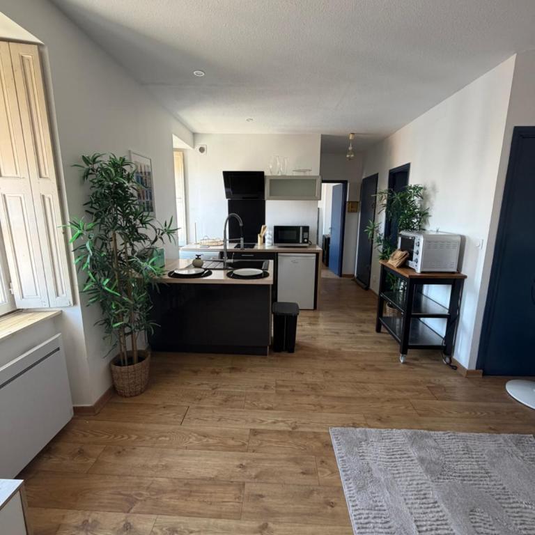 Appartement centre-ville de Narbonne - Appartement 1 Chambre - 3