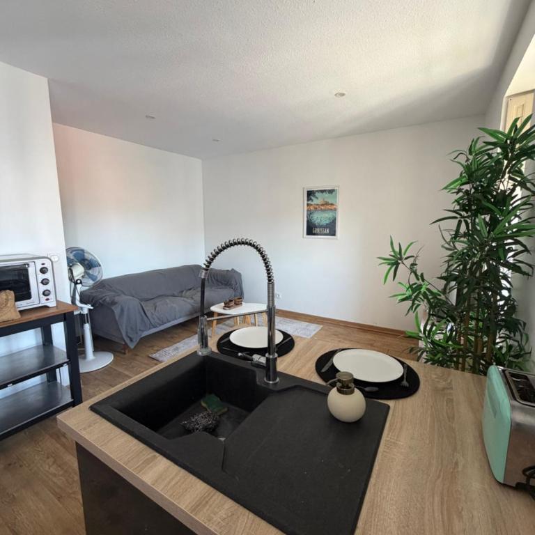 Appartement centre-ville de Narbonne - Appartement 1 Chambre - 4