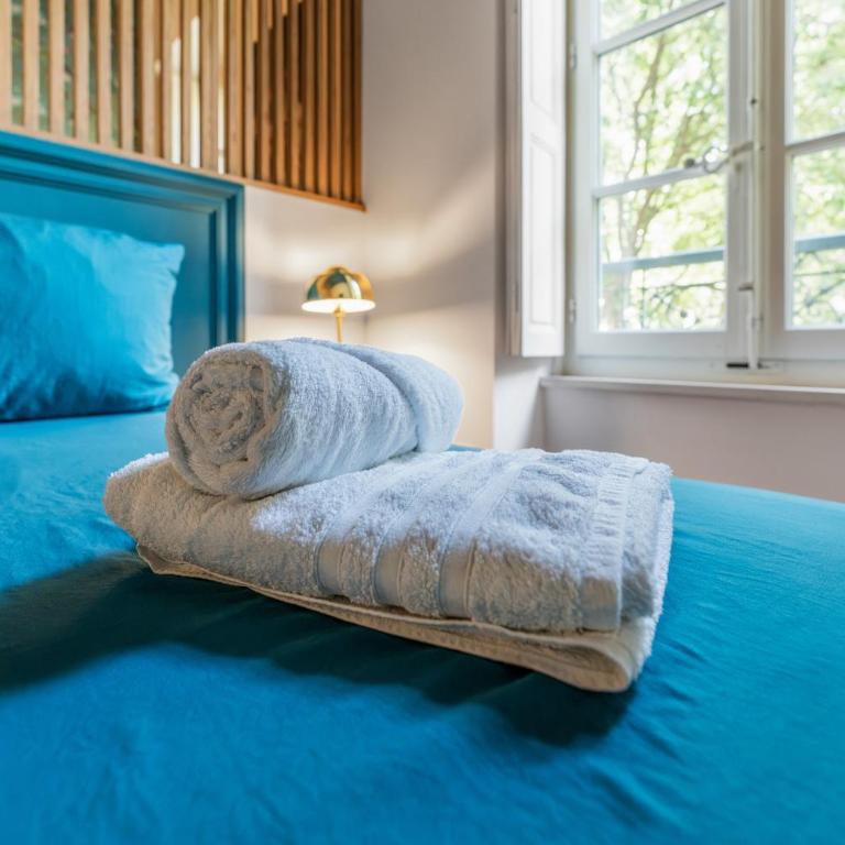 Le Victor Clim entre Arènes & Maison Carrée - Appartement 1 Chambre - 13