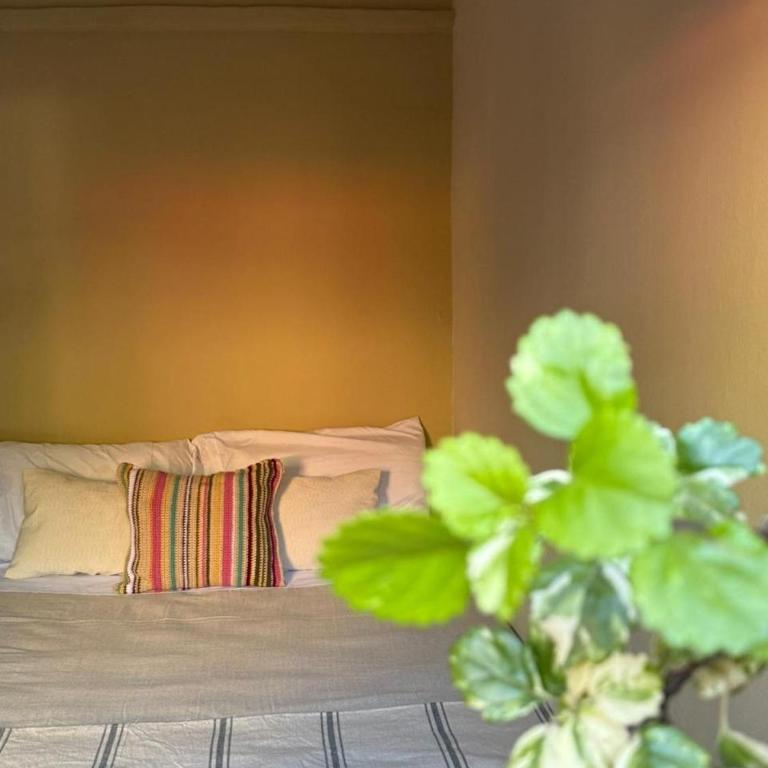 Tilcara Mistica Hostel - Habitación Doble con baño privado - 1 o 2 camas - 4
