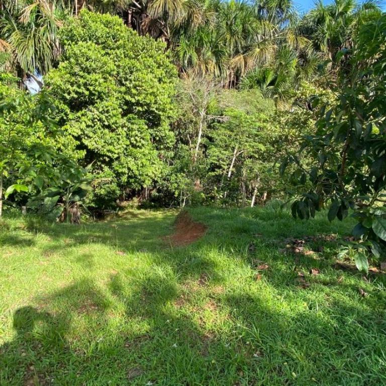 Estancia buena vista campestre - Two-Bedroom House - 2