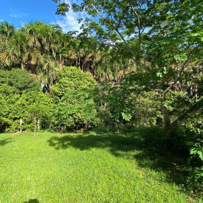 Estancia buena vista campestre - Two-Bedroom House - 4