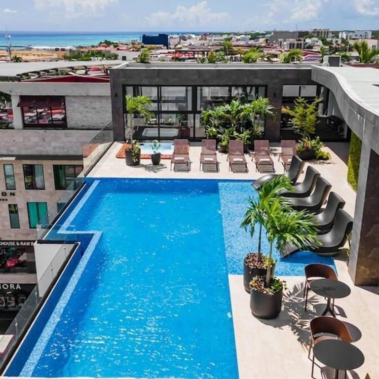 Playa Retreat with Pool, near 5th Avenue & beach - Studio - 6