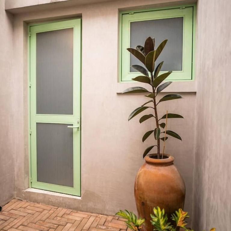 Charming Cozy Apartment in the Heart of Coyoacán - Apartment - 6