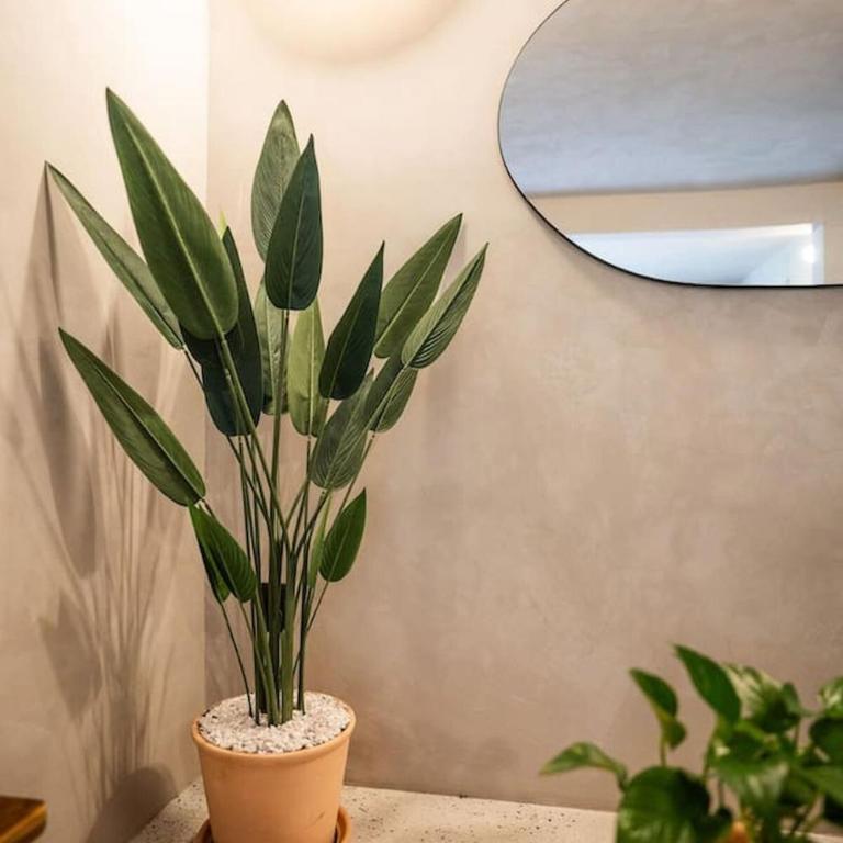 Charming Cozy Apartment in the Heart of Coyoacán - Apartment - 10