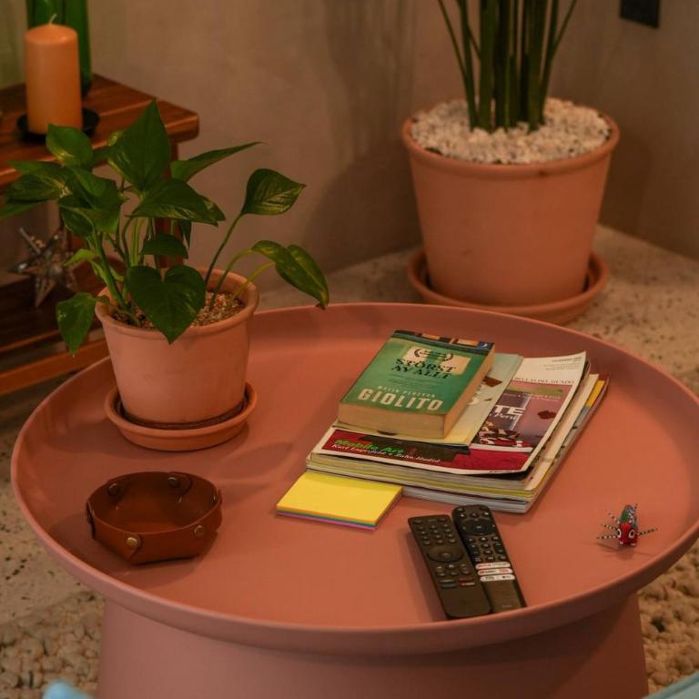 Charming Cozy Apartment in the Heart of Coyoacán - Apartment - 53