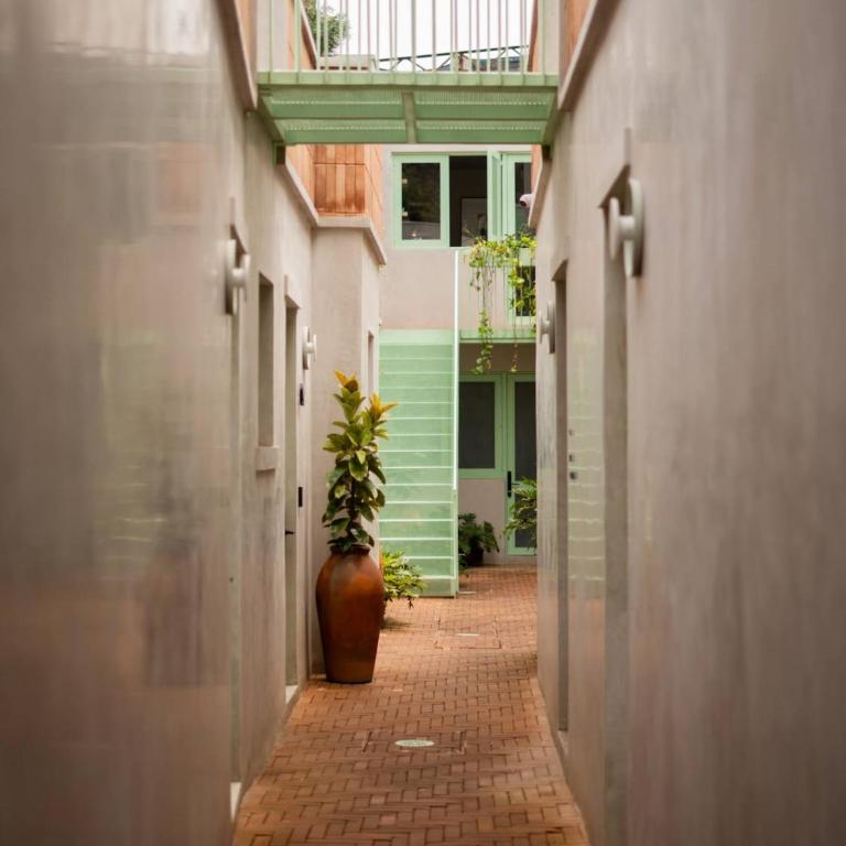 Charming Cozy Apartment in the Heart of Coyoacán - Apartment - 59