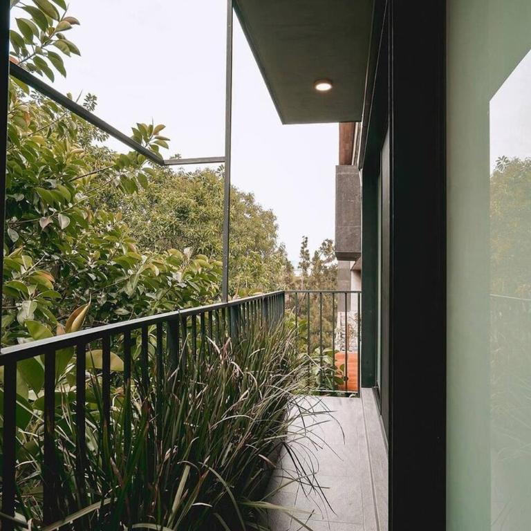 Gorgeous Stay in Roma Norte with Pool & Gym - Apartment - 22