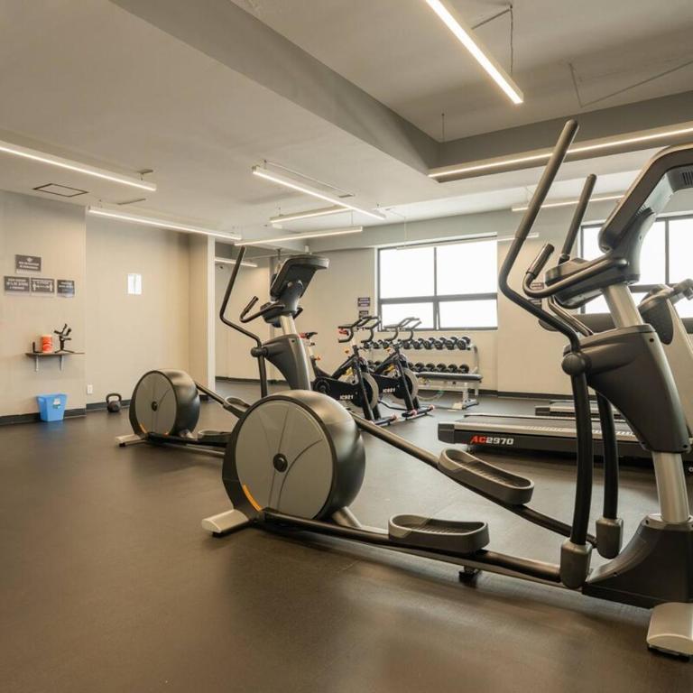 Lovely 3-bedroom with pool & Gym in Roma Norte - Apartamento - 16