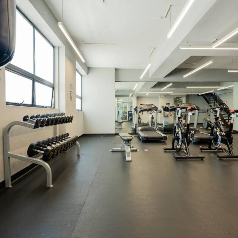 Lovely 3-bedroom with pool & Gym in Roma Norte - Apartamento - 19