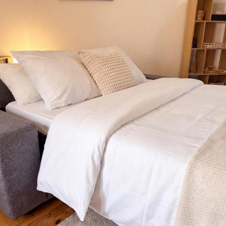 Mezzanine 10 min walk from Place Stanislas - Appartement 1 Chambre - 24