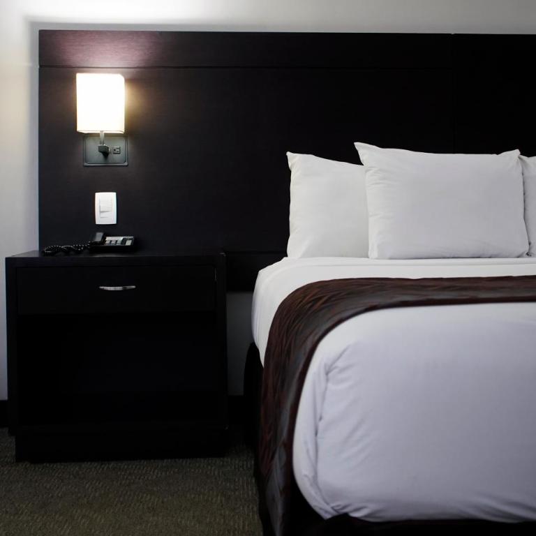 HOTEL CHACAO SUITES - Suite Junior - 5