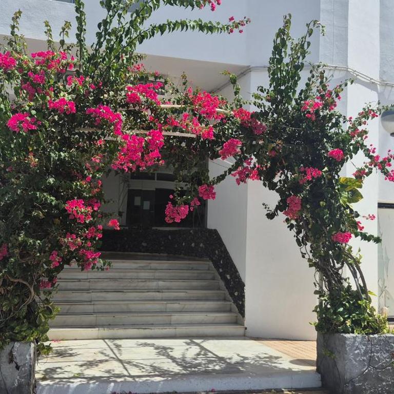 Green Park Golf del Sur Meerblick - Apartamento de 1 dormitorio - 13