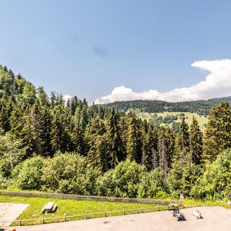 L’Hirmentaz B128 - proche station de ski Hirmentaz - Appartement - 12