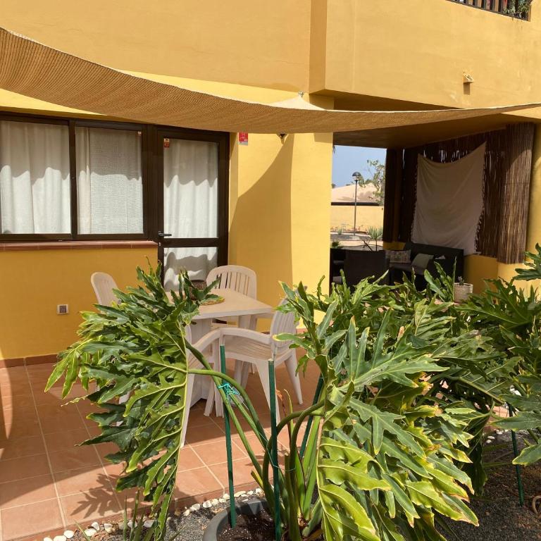 Casa Piña Colada - Apartamento de 1 dormitorio con jardín - 36