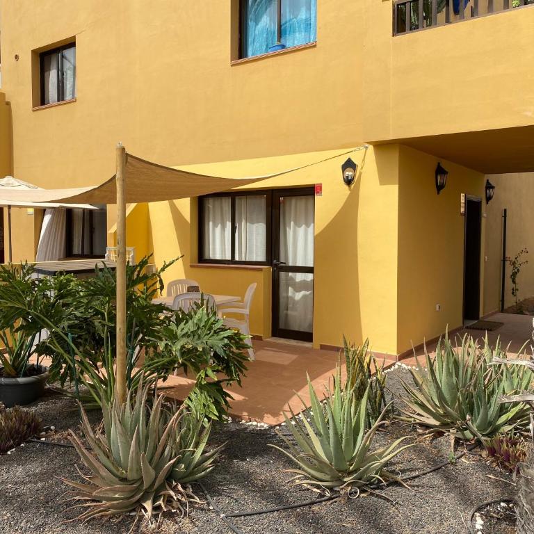 Casa Piña Colada - Apartamento de 1 dormitorio con jardín - 37