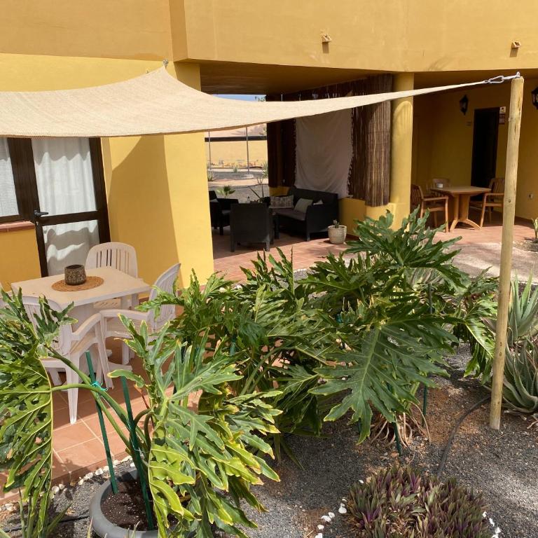 Casa Piña Colada - Apartamento de 1 dormitorio con jardín - 35