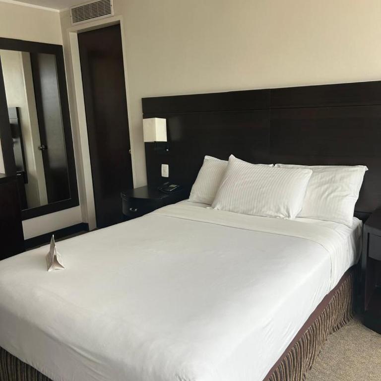 HOTEL CHACAO SUITES - Habitación Deluxe - 5