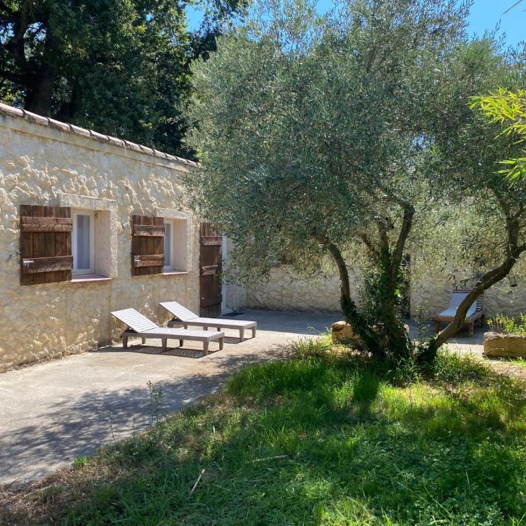 Mazet 2 chambres Île de la Barthelasse Avignon - Maison 2 Chambres - 1