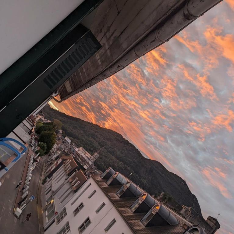 VENUE DU PAPE - Appartement à 3 min des Sanctuaires - Vue Basilique Château & Pyrénées - Tout compris - Appartement 1 Chambre - 4