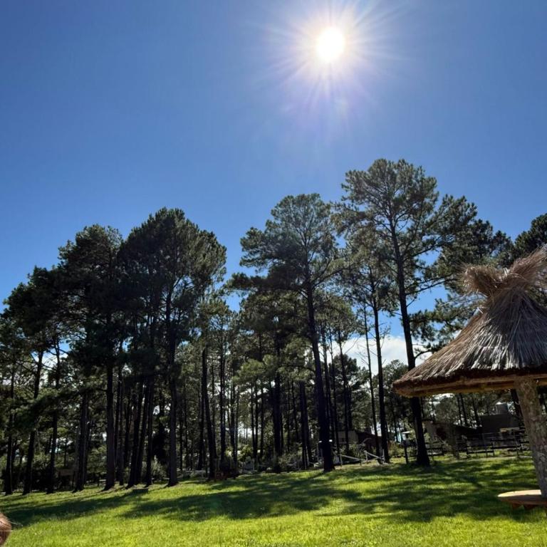 La Recompensa - Villa Yacanto - Chalet de 1 dormitorio - 25