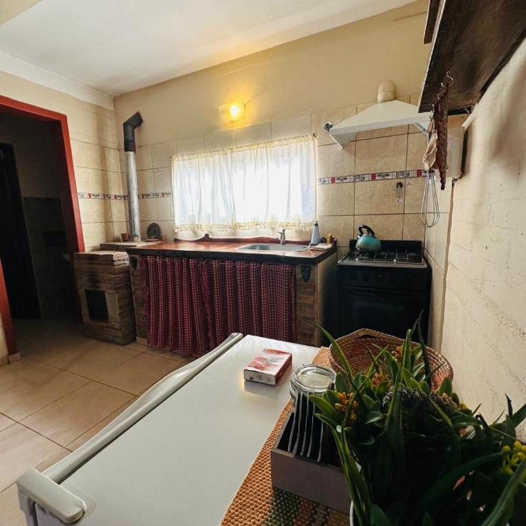 Cielos Abiertos - One-Bedroom Apartment - 4