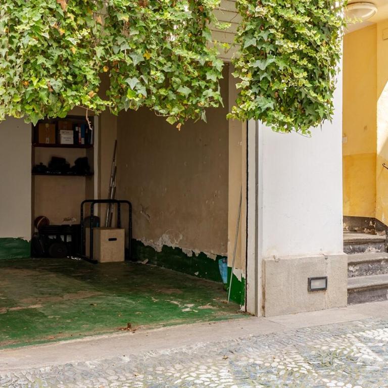 oasi calandra - Apartamento - 15