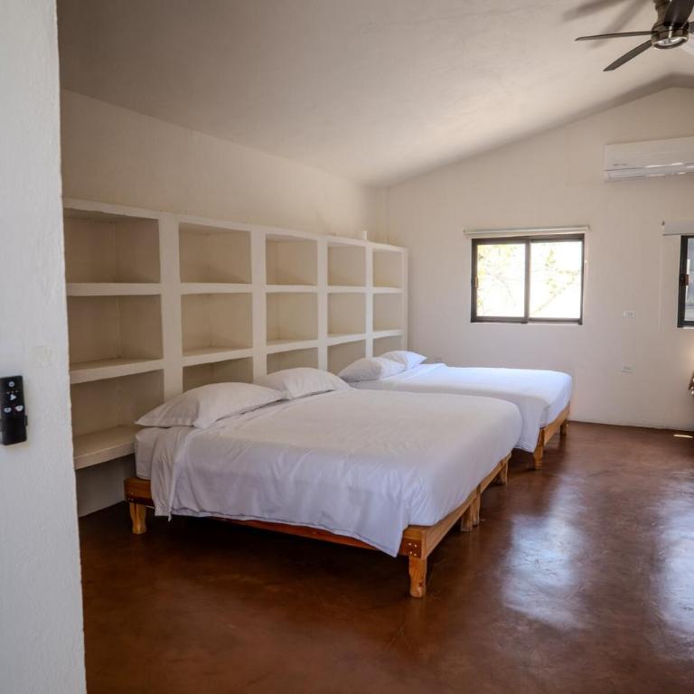 4 Bedroom home in an amazing location in downtown Cabo San Lucas - Haus mit 4 Schlafzimmern - 50