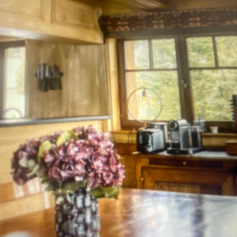 prochet des pistes freedom ch - Chalet 1 Chambre - 14