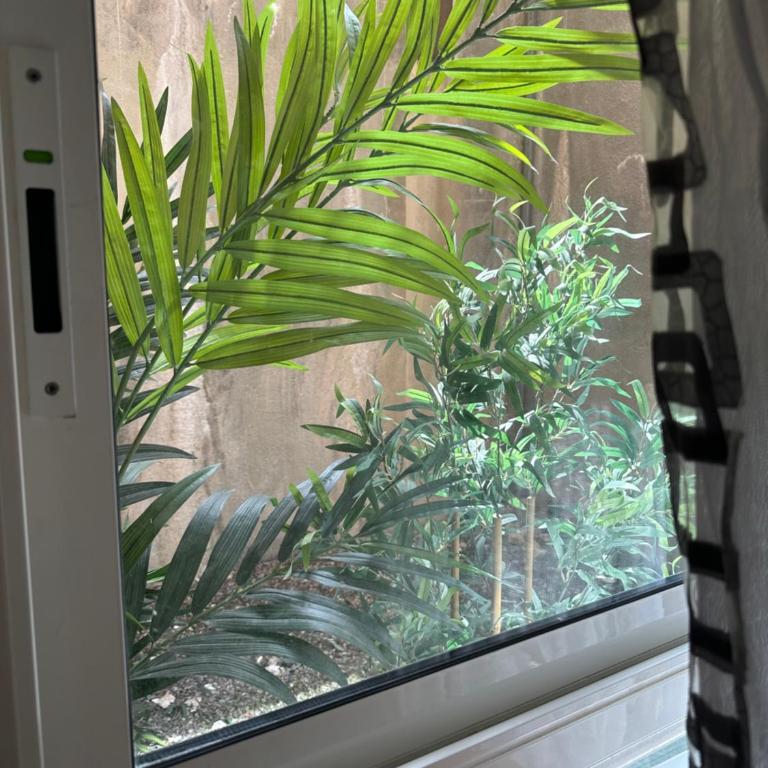 Studio Sun 3 min from Casino - Appartement 1 Chambre - 10