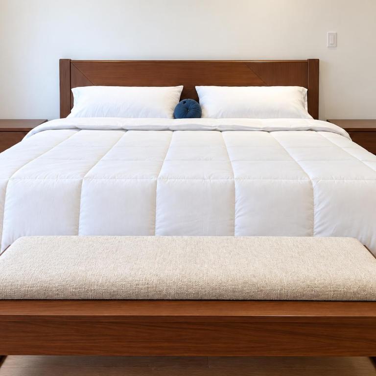 Top Colonial Apartment near Cathedral 2C - One-Bedroom Apartment - 5