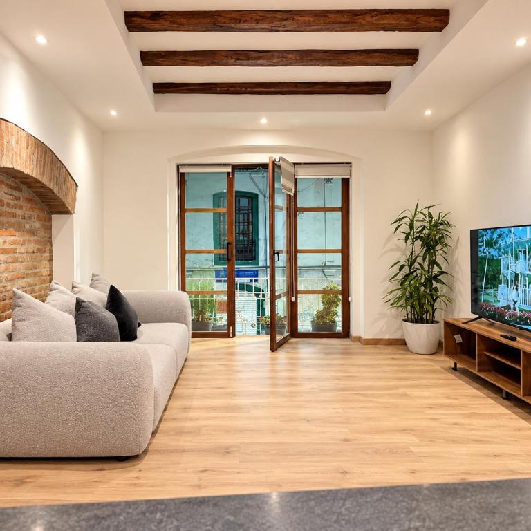 Top Colonial Apartment near Cathedral 2C - One-Bedroom Apartment - 1