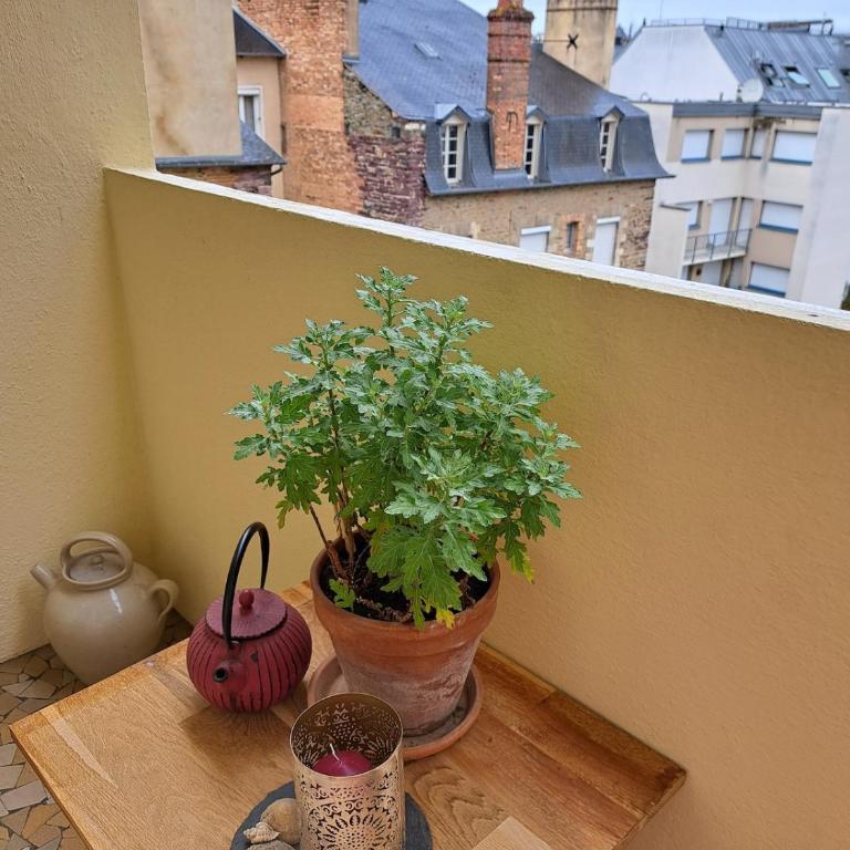 Appartement Bohème à 2 minutes du Liberté - Appartement 1 Chambre - 8