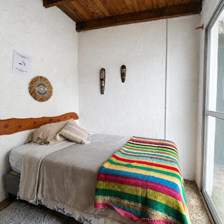 Alojamiento Jacinta en Chuy Aire Y Baño Privado - Apartamento de 1 dormitorio con vistas al jardín - 9