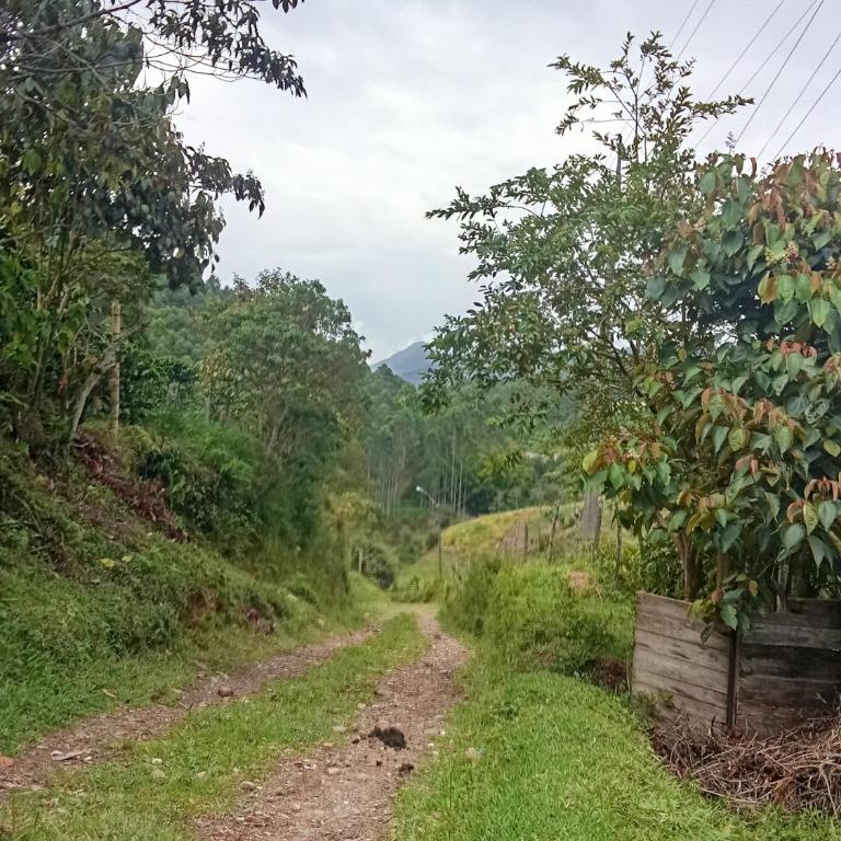 Finca La Menguate - One-Bedroom House - 2