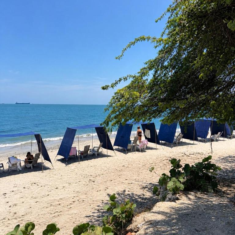Aluna Beach Club-Ocean View Pool and Beach - One-Bedroom Apartment - 4